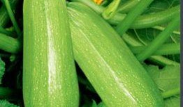 往期热点热门大瓜 爆炸瓜视频,爆炸视频背后的惊人真相